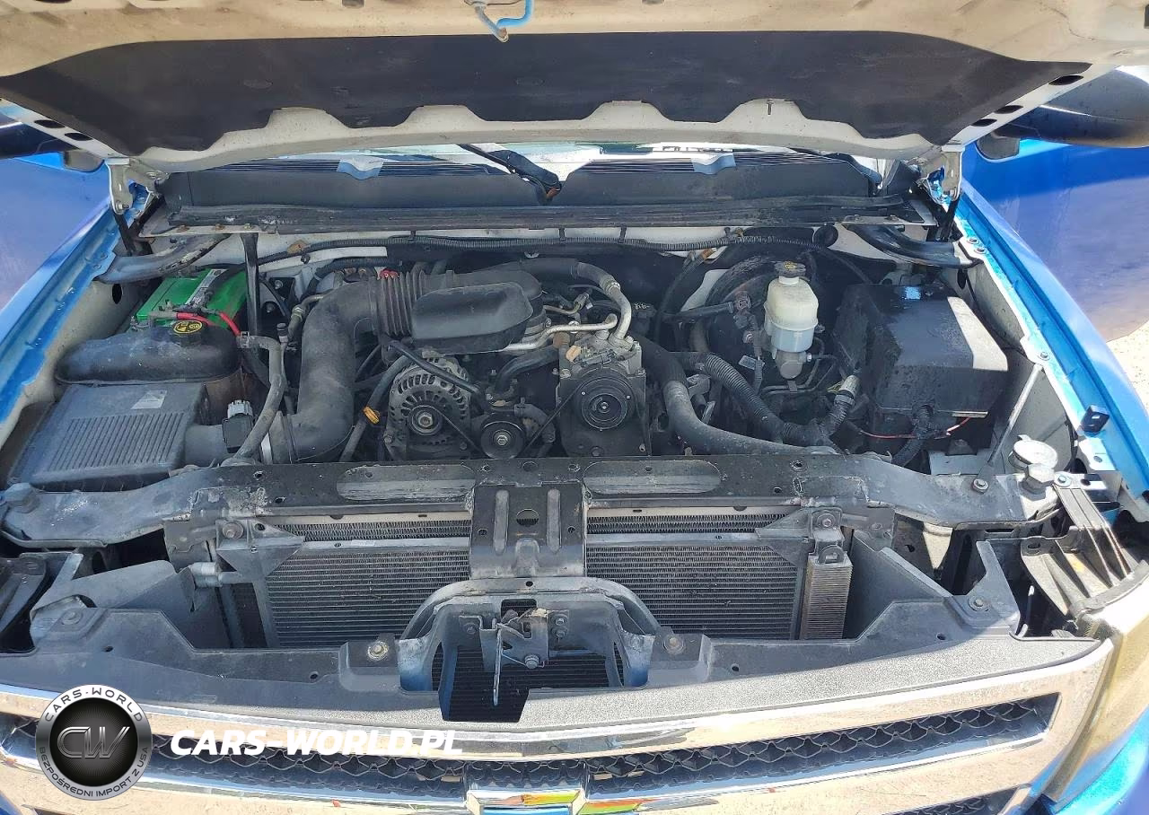 2013 Chevrolet Silverado C1500 VIN:1GCNCPEX2DZ292988 - 11