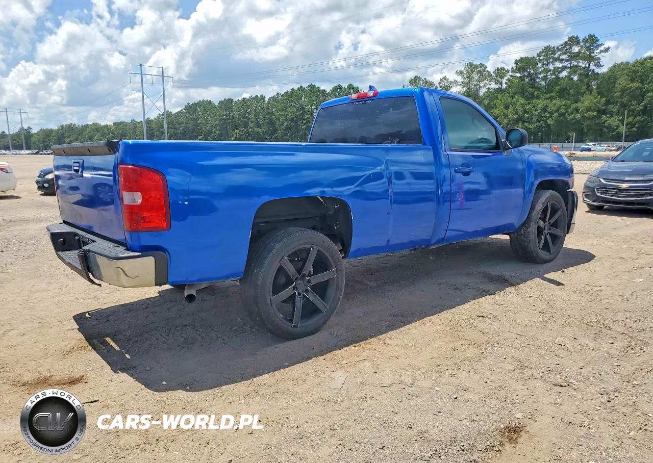 2013 Chevrolet Silverado C1500 VIN:1GCNCPEX2DZ292988 - 3