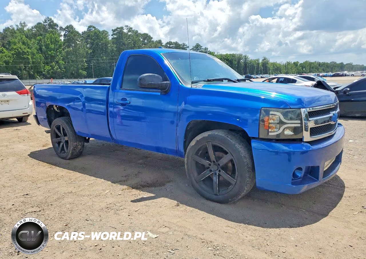 2013 Chevrolet Silverado C1500 VIN:1GCNCPEX2DZ292988 - 4