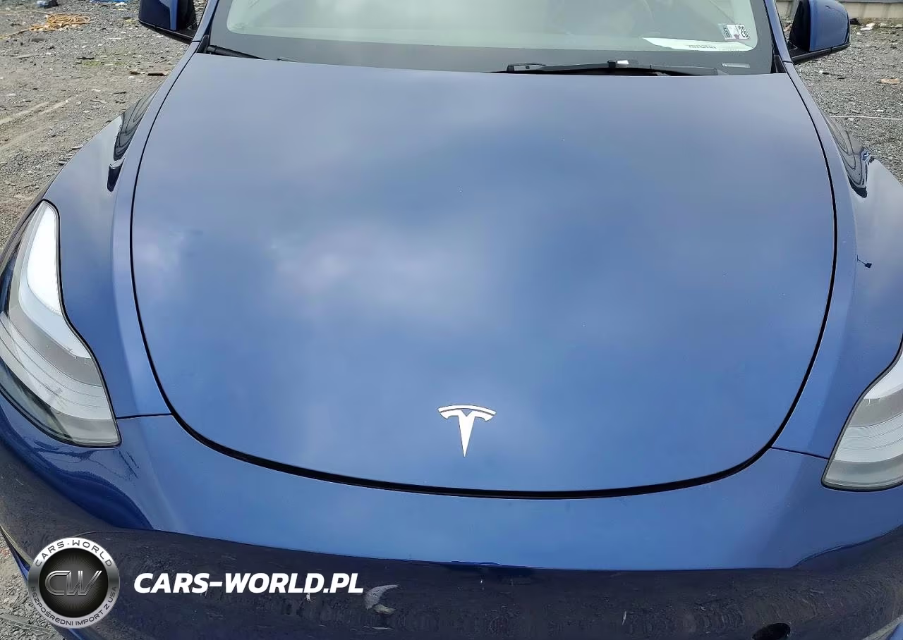 2025 Tesla Model Y VIN:7SAYGDEE9SA349981 - 11