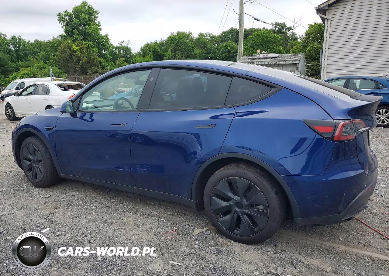 2025 Tesla Model Y VIN:7SAYGDEE9SA349981 - 2