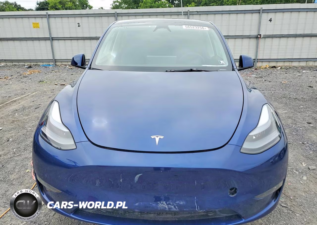 2025 Tesla Model Y VIN:7SAYGDEE9SA349981 - 5