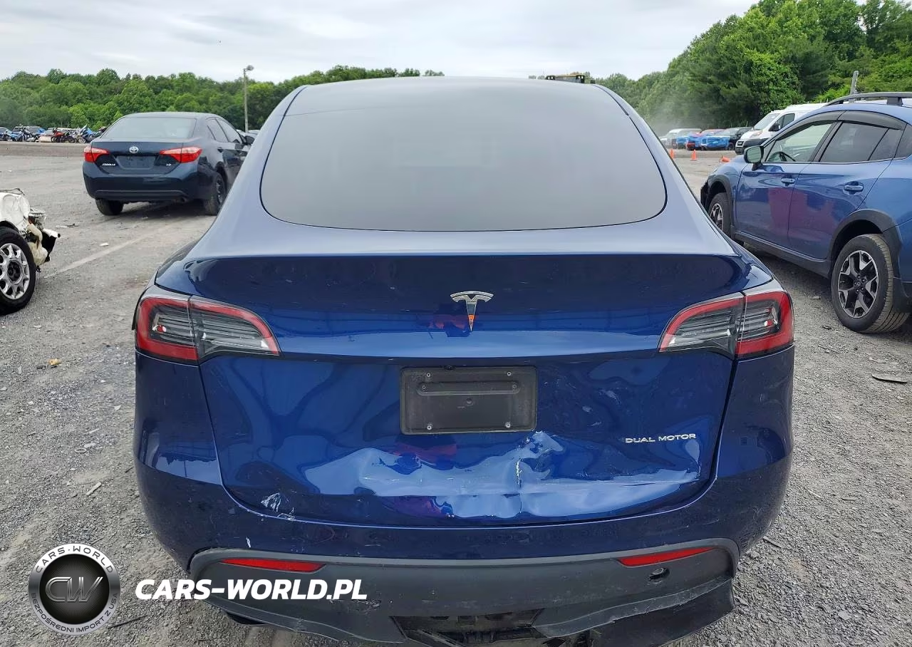 2025 Tesla Model Y VIN:7SAYGDEE9SA349981 - 6