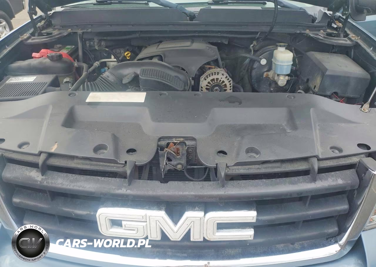 2009 GMC Sierra K1500 VIN:3GTEK13399G123896 - 11