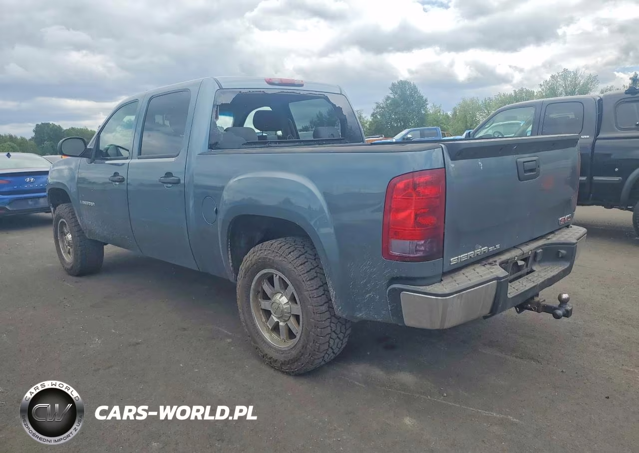 2009 GMC Sierra K1500 VIN:3GTEK13399G123896 - 2