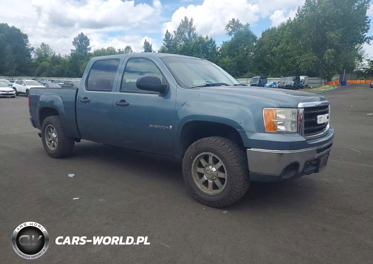 2009 GMC Sierra K1500 VIN:3GTEK13399G123896 - 4