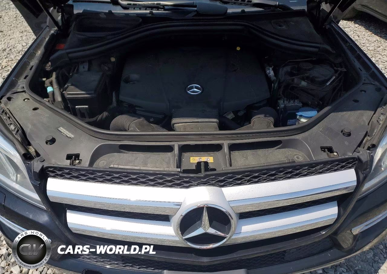 2015 Mercedes-Benz Gl-Class VIN:4JGDF2EE8FA529033 - 12