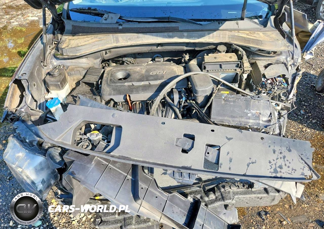 2020 Hyundai Santa Fe Sel VIN:5NMS3CAD8LH223765 - 12