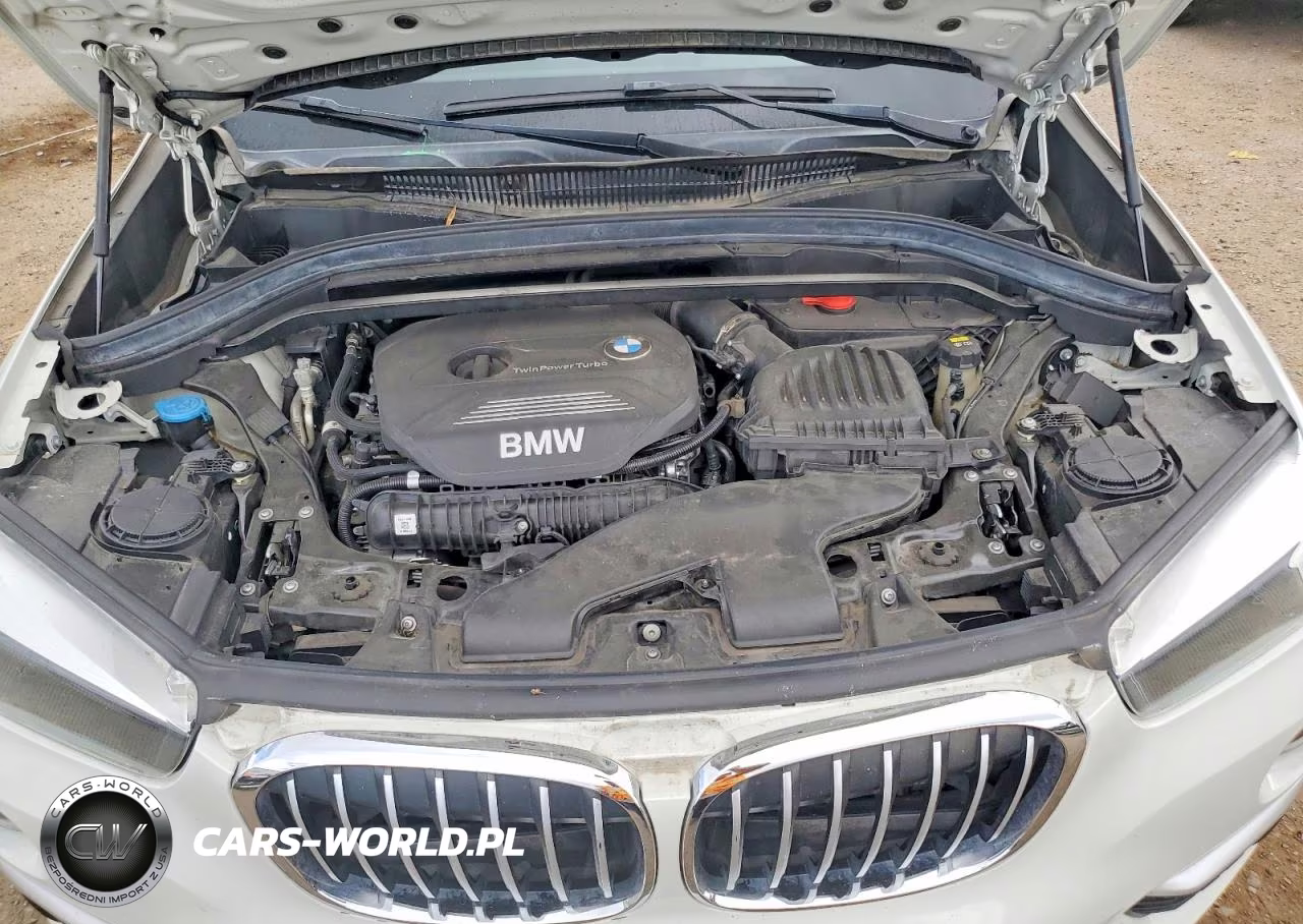 2018 BMW X1 Sdrive28I VIN:WBXHU7C31J5L07089 - 11