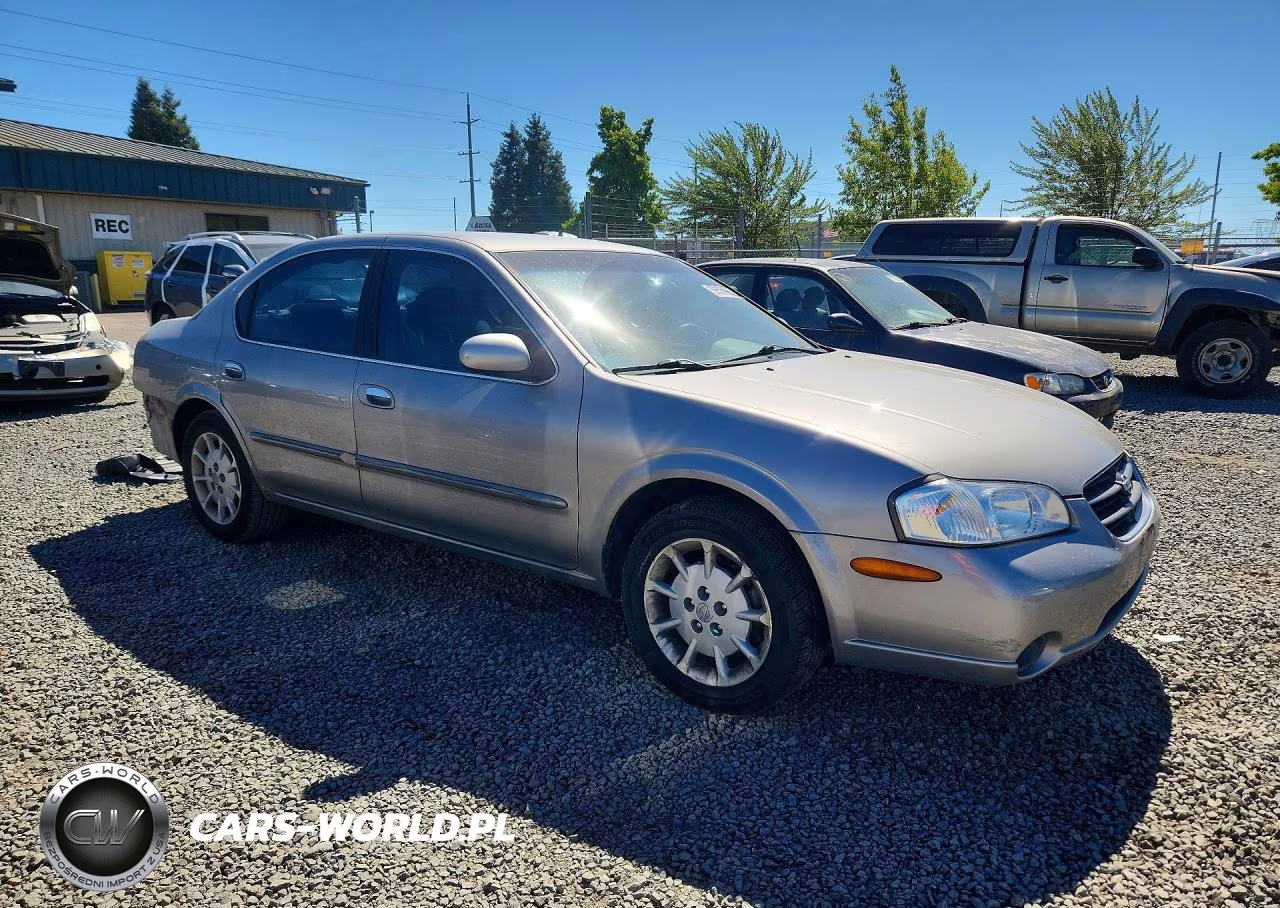 2001 Nissan Maxima Gxe VIN:JN1CA31D61T631996 - 4