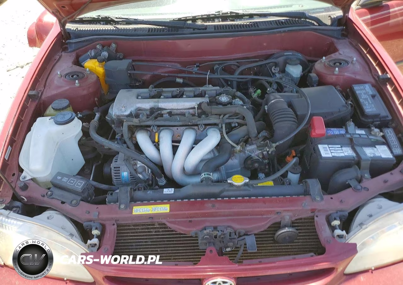 2000 Toyota Corolla Ve VIN:1NXBR12E3YZ350557 - 11