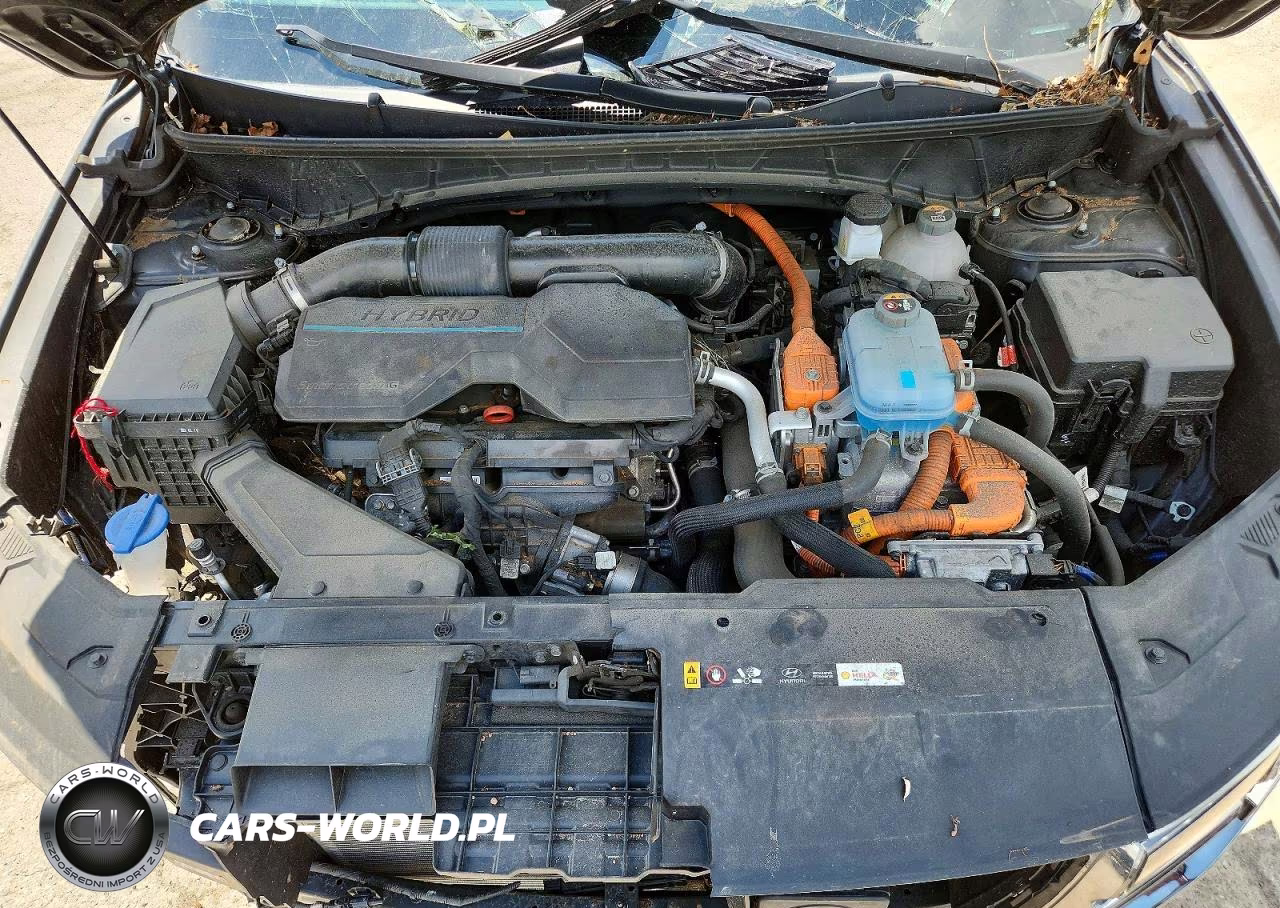2024 Hyundai Tucson Limited VIN:KM8JFDD25RU210150 - 12