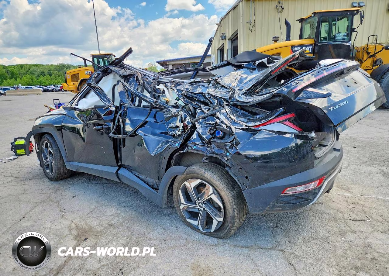 2024 Hyundai Tucson Limited VIN:KM8JFDD25RU210150 - 2