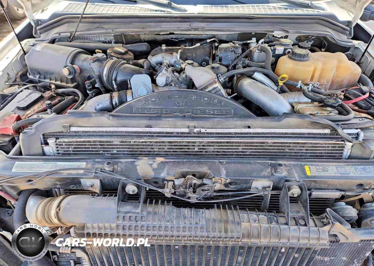 2010 Ford F250 Super Duty VIN:1FTSF2BRXAEB38244 - 11
