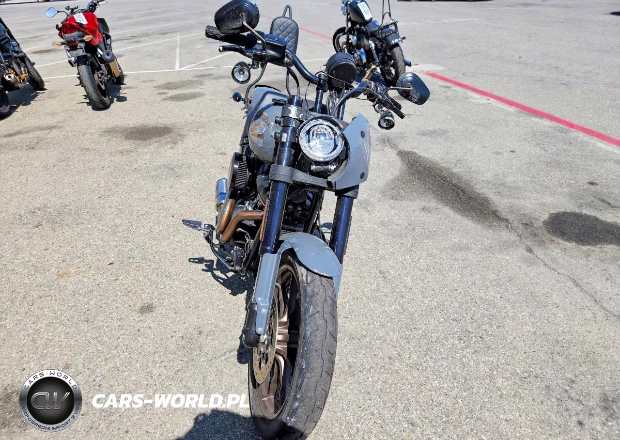 2022 Harley-Davidson Fxlrs VIN:1HD1YWZ24NB060135 - 2