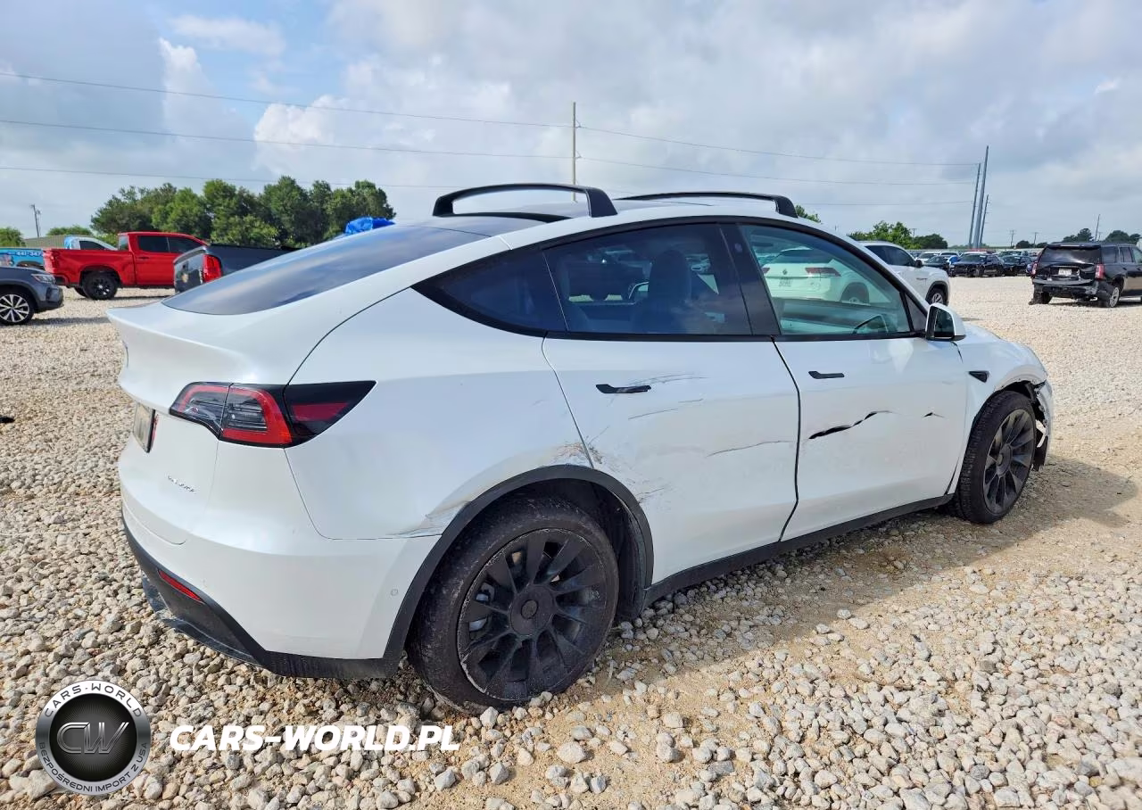 2022 Tesla Model Y VIN:7SAYGAEE6NF487323 - 3