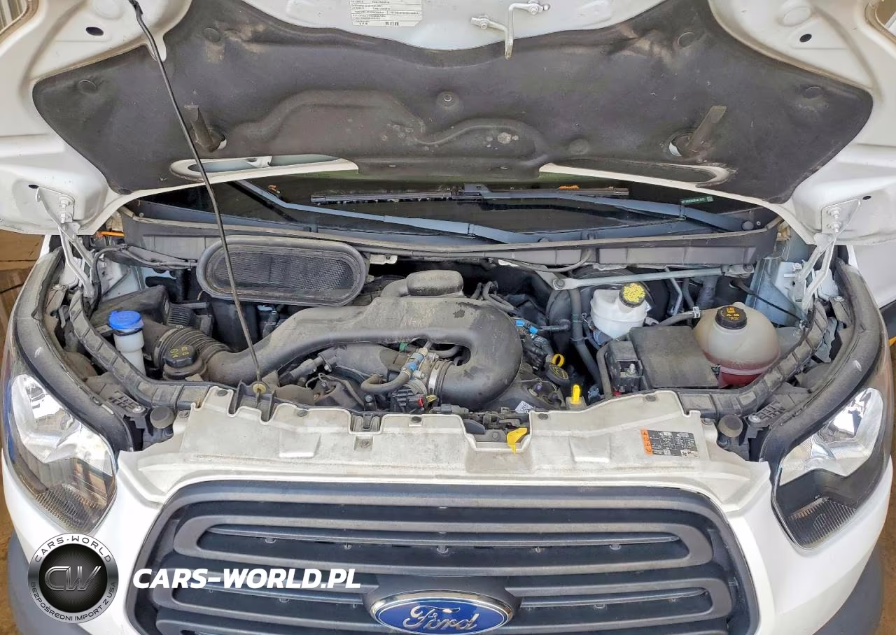 2019 Ford Transit 250 Delivery Van VIN:1FTYR2CM3KKA17577 - 12