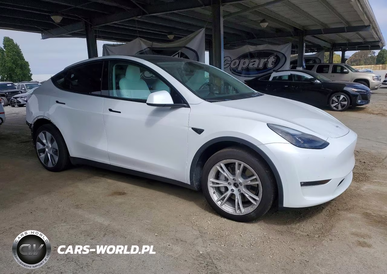 2023 Tesla Model Y VIN:7SAYGAEE8PF933507 - 4