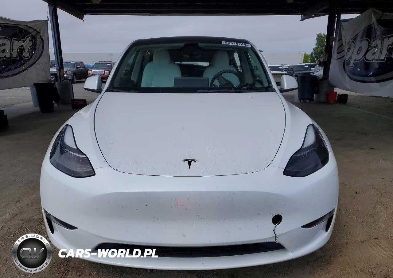 2023 Tesla Model Y VIN:7SAYGAEE8PF933507 - 5