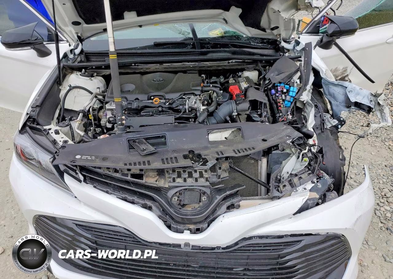 2020 Toyota Camry Le VIN:4T1C11BK5LU009204 - 11