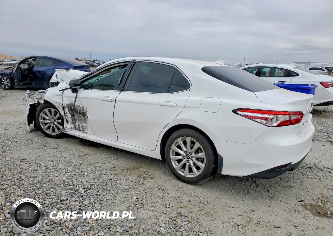 2020 Toyota Camry Le VIN:4T1C11BK5LU009204 - 2