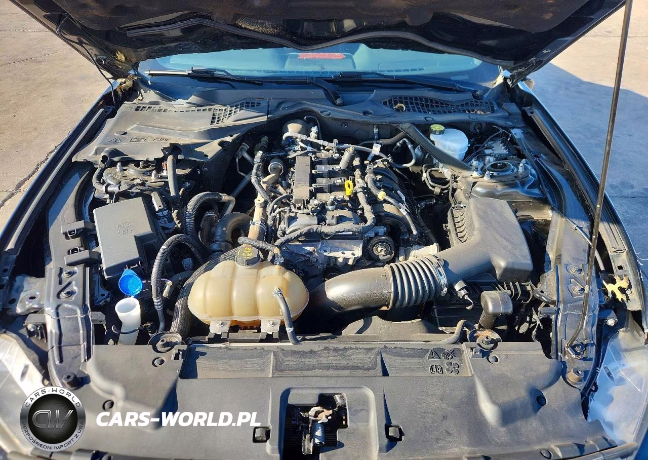 2021 Ford Mustang VIN:1FATP8UHXM5115310 - 11
