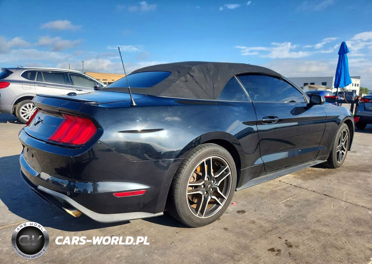 2021 Ford Mustang VIN:1FATP8UHXM5115310 - 3