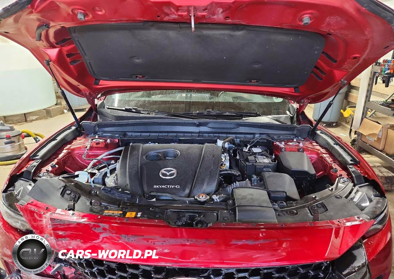2023 Mazda Cx-50 Premium Plus VIN:7MMVABEM6PN137113 - 12