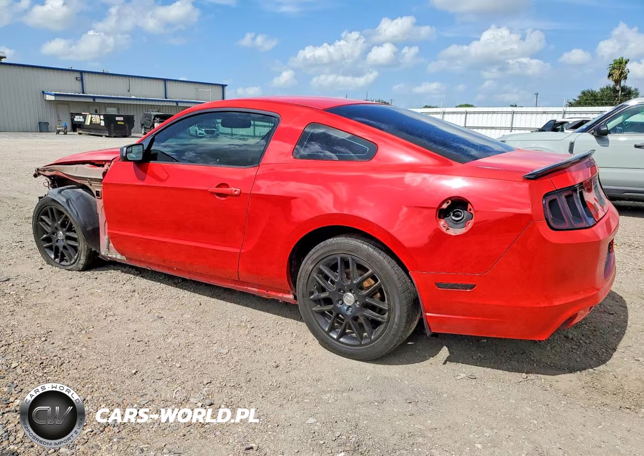 2014 Ford Mustang VIN:1ZVBP8AM0E5226390 - 2
