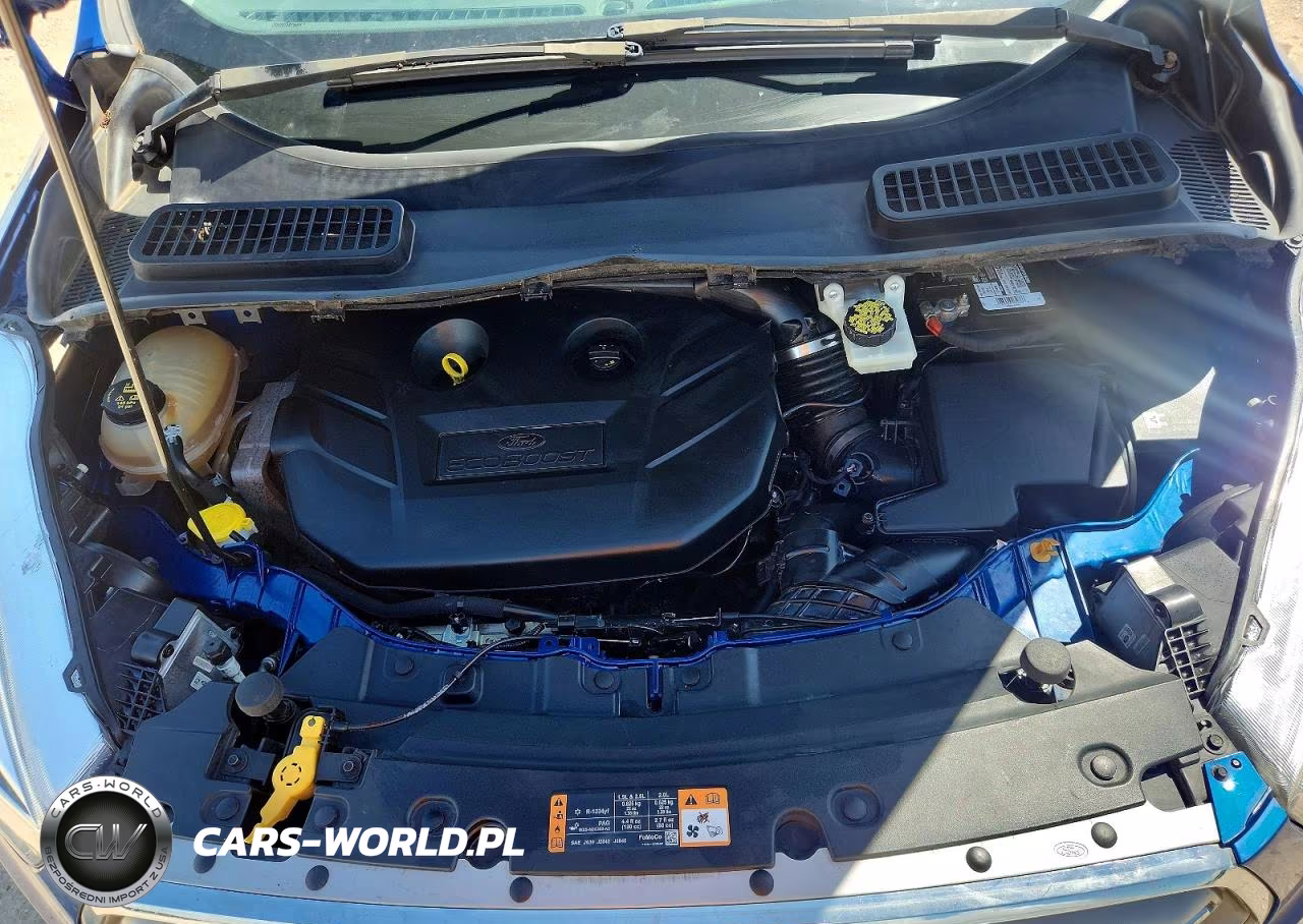 2019 Ford Escape Titanium VIN:1FMCU0J96KUB33044 - 12