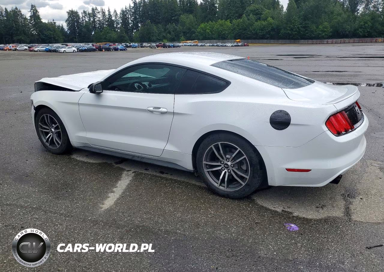 2017 Ford Mustang VIN:1FA6P8TH9H5333856 - 2
