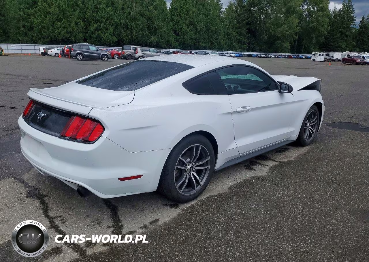 2017 Ford Mustang VIN:1FA6P8TH9H5333856 - 3