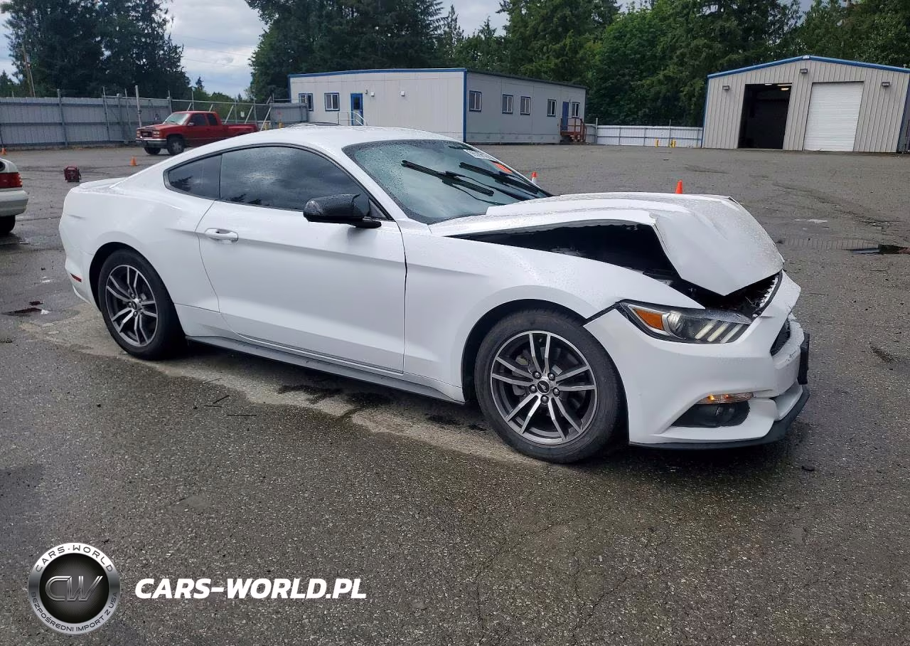 2017 Ford Mustang VIN:1FA6P8TH9H5333856 - 4