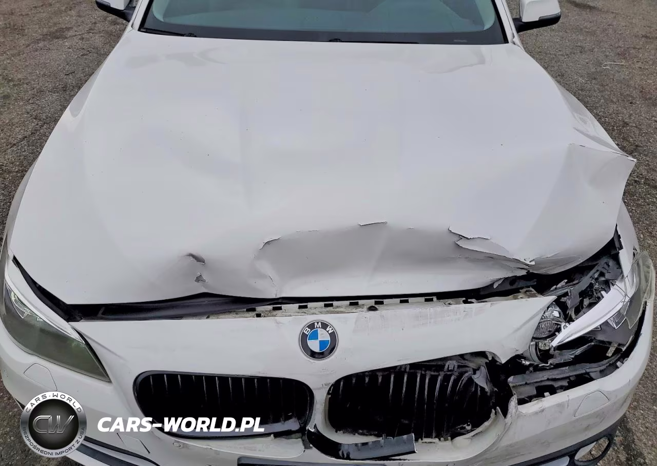 2015 BMW 528 I VIN:WBA5A5C5XFD521457 - 11