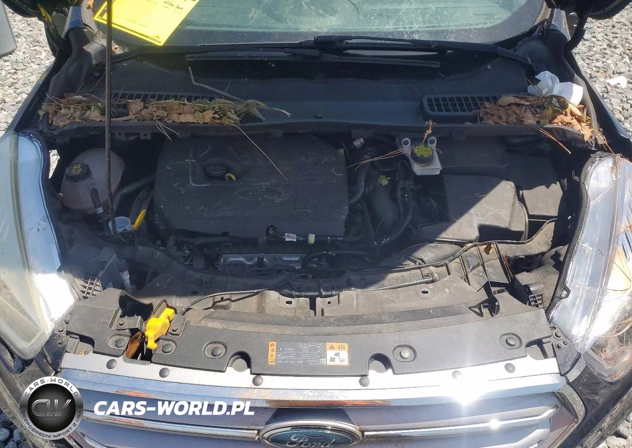 2017 Ford Escape Titanium VIN:1FMCU0JD8HUE02075 - 11