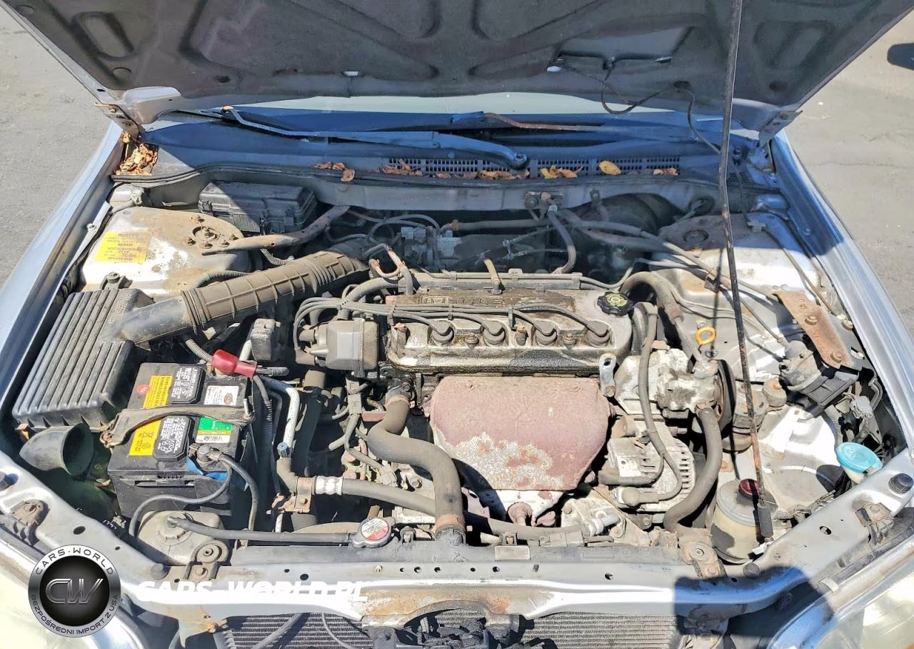 2002 Honda Accord VIN:1HGCG66842A174953 - 11