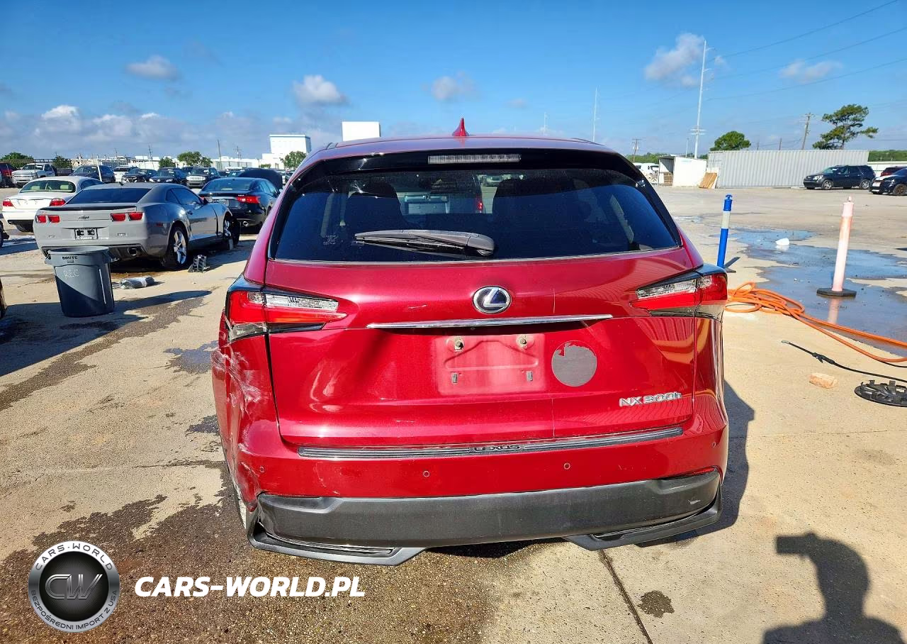 2015 Lexus Nx 300H VIN:JTJYWRBZ7F2007636 - 6