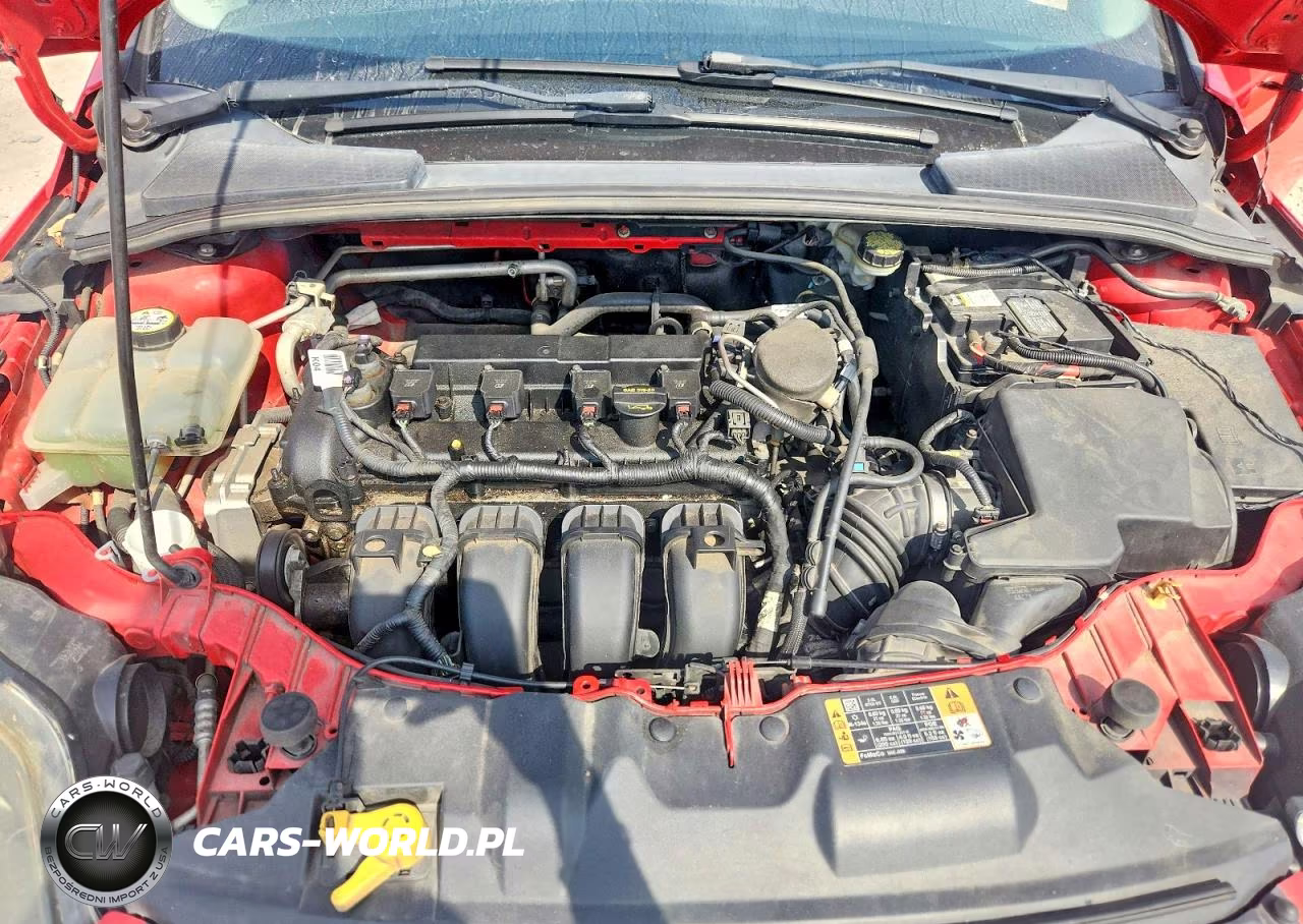 2014 Ford Focus Se VIN:1FADP3K27EL301891 - 11