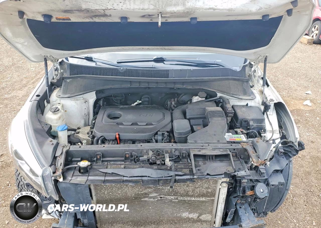 2017 Kia Sorento Lx VIN:5XYPGDA39HG206594 - 12