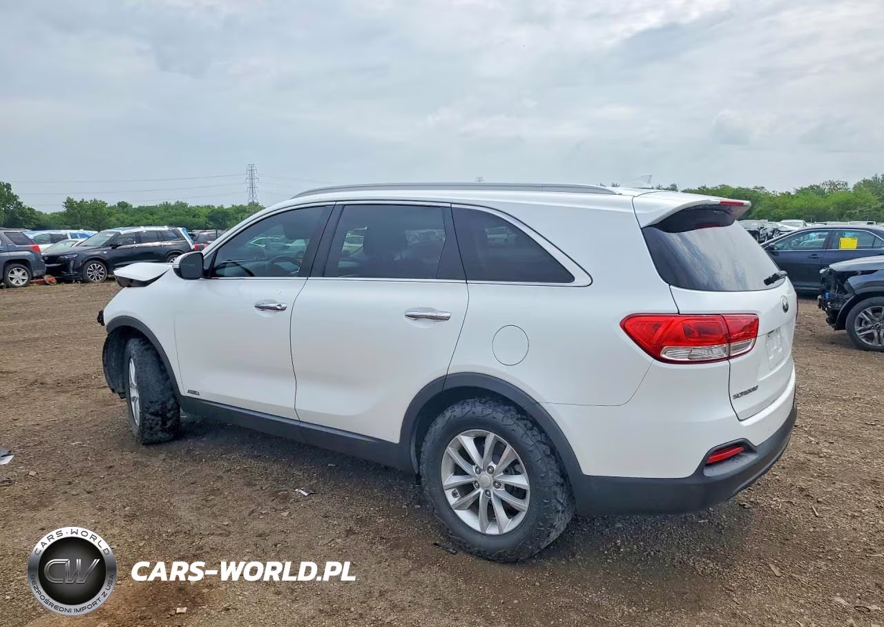 2017 Kia Sorento Lx VIN:5XYPGDA39HG206594 - 2