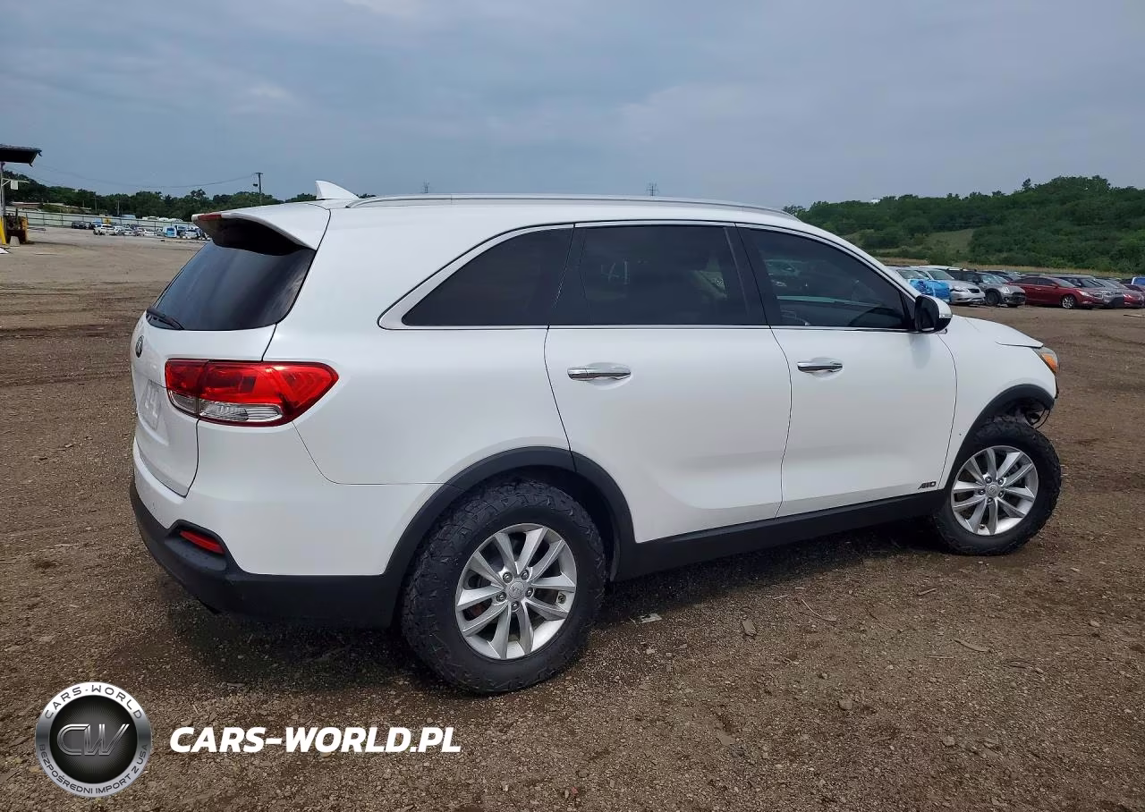 2017 Kia Sorento Lx VIN:5XYPGDA39HG206594 - 3