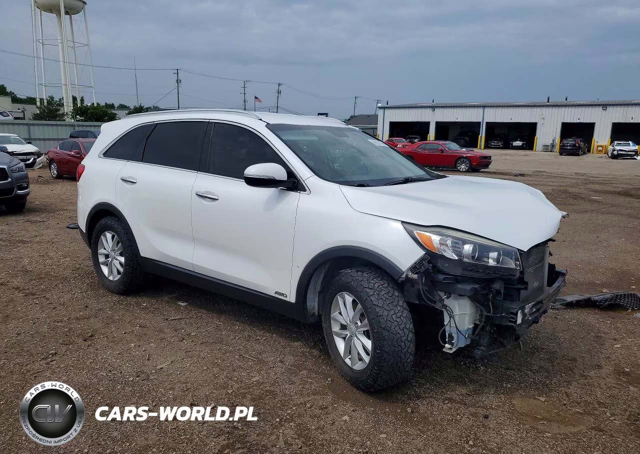 2017 Kia Sorento Lx VIN:5XYPGDA39HG206594 - 4