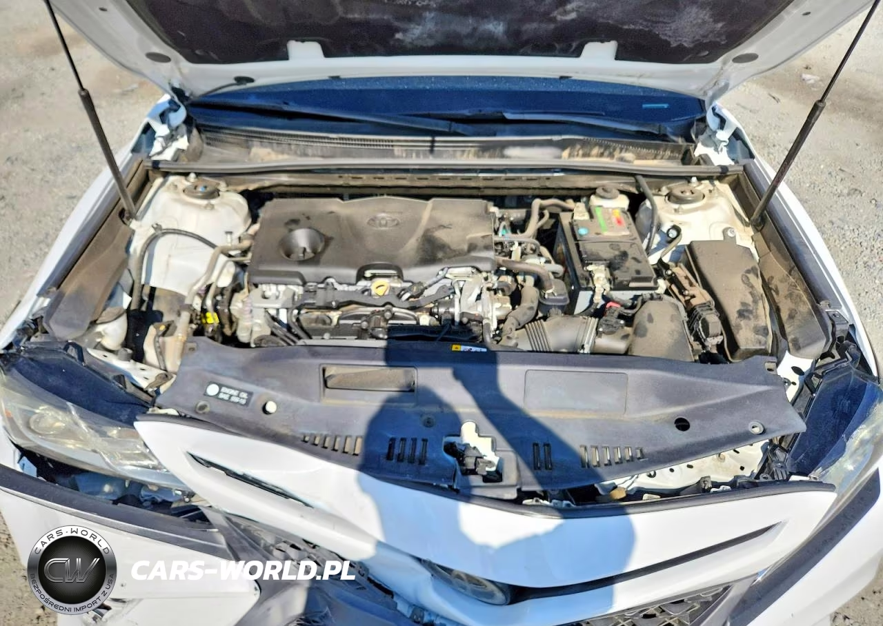 2019 Toyota Camry Se VIN:4T1B11HK1KU733067 - 11