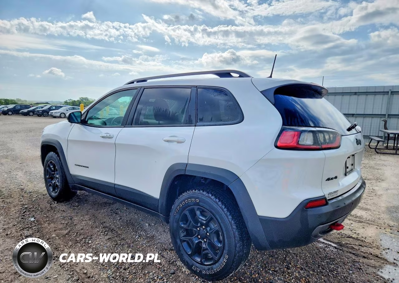 2019 Jeep Cherokee Trailhawk VIN:1C4PJMBNXKD182748 - 2