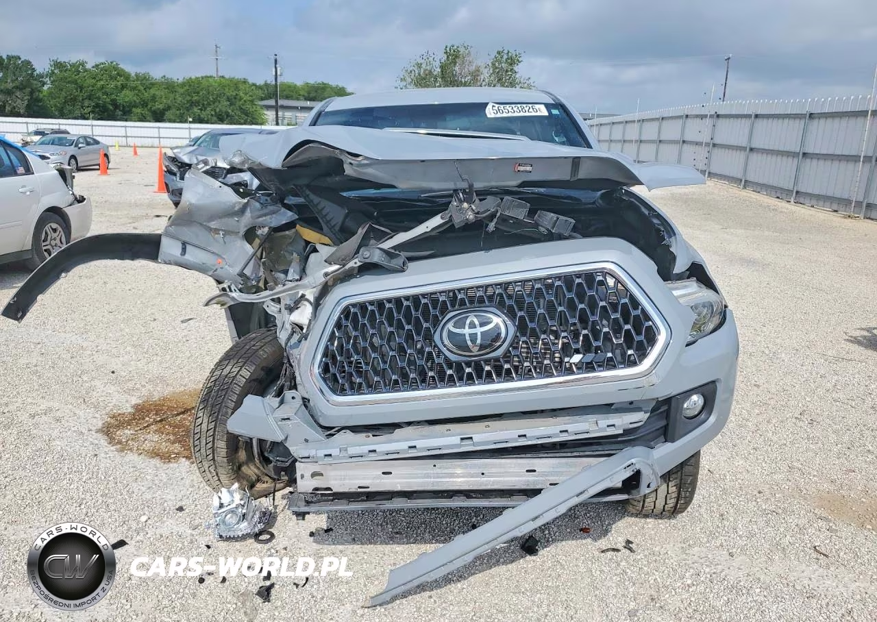 2019 Toyota Tacoma Trd Sport VIN:5TFAZ5CN3KX082878 - 5