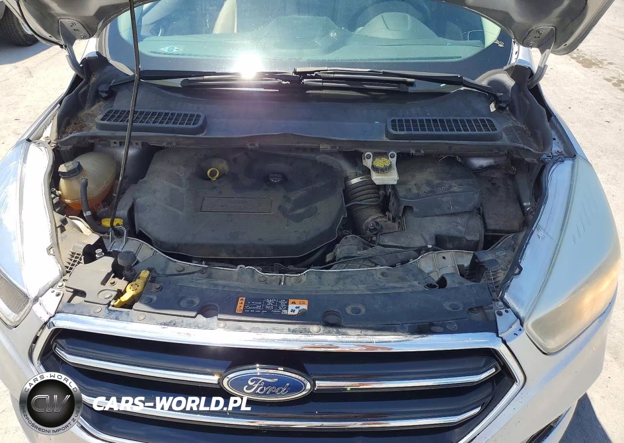 2019 Ford Escape Se VIN:1FMCU9G98KUB07444 - 12