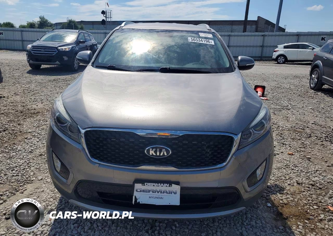 2017 Kia Sorento Ex VIN:5XYPHDA55HG203366 - 5