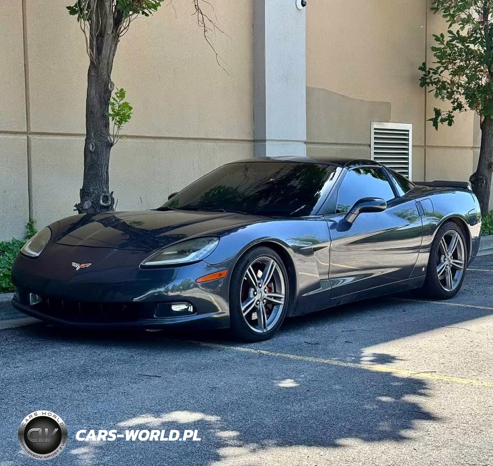 2009 Chevrolet Corvette VIN:1G1YY26W595109761 - 2