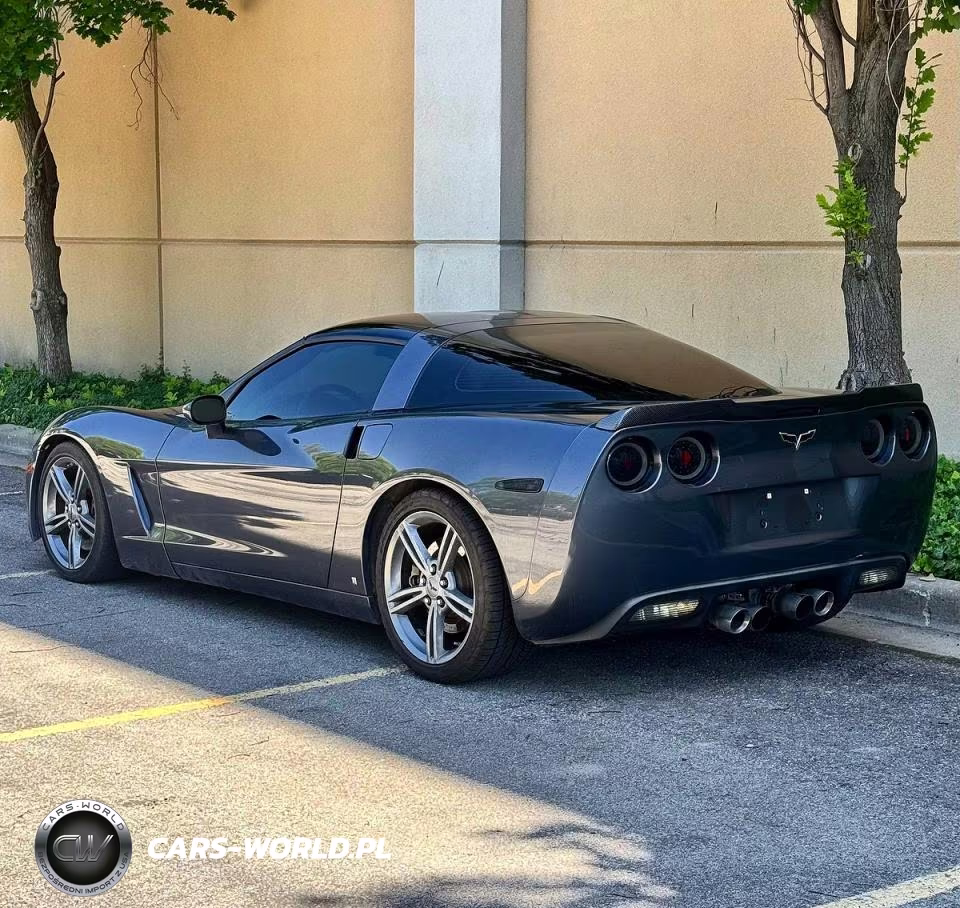 2009 Chevrolet Corvette VIN:1G1YY26W595109761 - 3