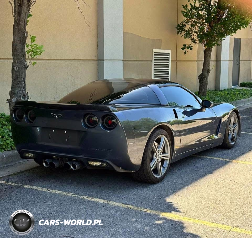 2009 Chevrolet Corvette VIN:1G1YY26W595109761 - 4